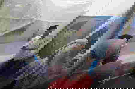 Intip Sudut Rumah Masa Kecil Bung Karno, Kental Nuansa Jawa