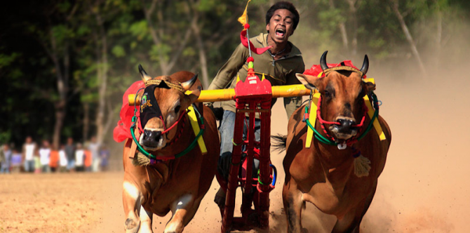 Kosakata Bahasa Madura Lengkap, Berhitung Hingga Anggota Tubuh