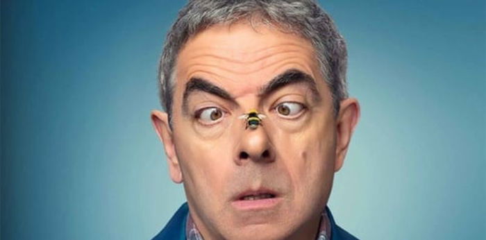 Sinopsis dan Fakta Menarik Film Man vs Bee, Aksi Rowan Atkinson Melawan Lebah!