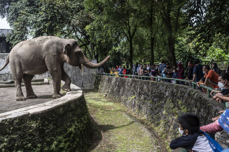 Syarat Masuk Ragunan