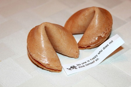 fortune cookies (7)