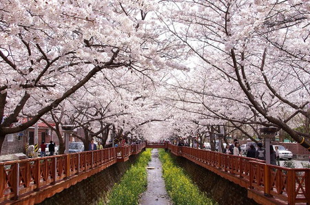 Kota terindah di Korea Selatan