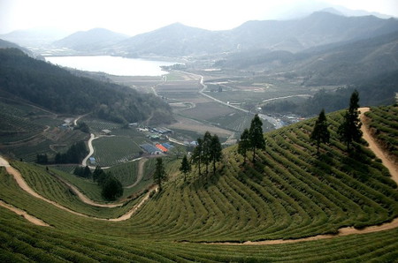 Kota terindah di Korea Selatan