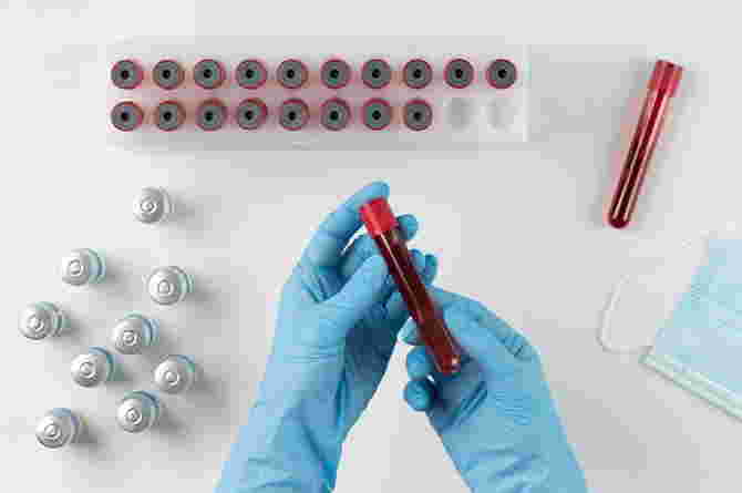 Getting to Know the Plano Test, an Examination to Confirm Pregnancy