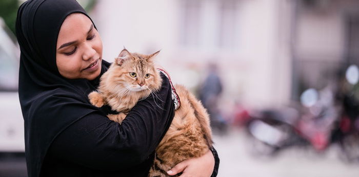 10 Tempat Penitipan Kucing di Jakarta, Punya Fasilitas Lengkap!