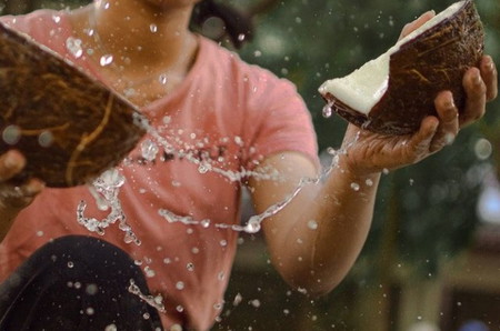 buah pengempuk daging