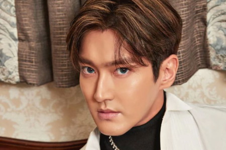 Daftar Album, Film dan Drama Korea yang Pernah Dibintangi Profil Siwon Super Junior
