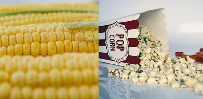 Jagung Termasuk Buah atau Sayur? Begini Penjelasan Ahli