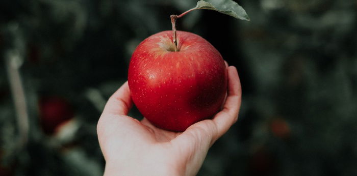 Kandungan Gizi dan Manfaat Buah Apel yang Bagus untuk Diet