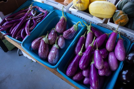 aubergines