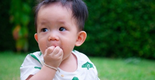 Memilih Snack untuk Bayi 8 Bulan, Ini yang Perlu Diperhatikan