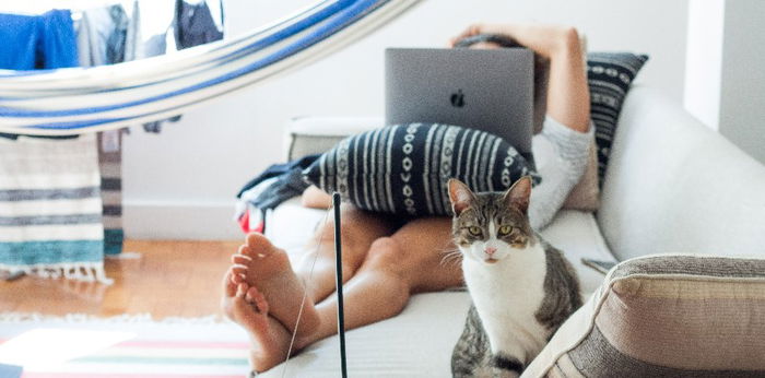 Ini 11 Hewan Peliharaan Paling Cocok untuk Anak Kost, Pilih Mana?