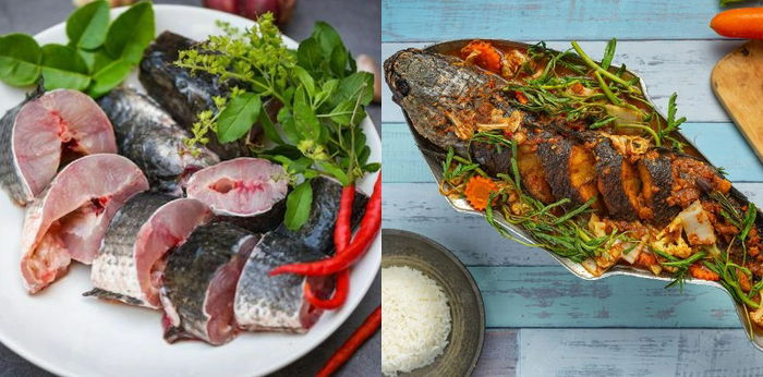 Ini 15 Manfaat Ikan Gabus untuk Kesehatan, Kaya Akan Protein Albumin!