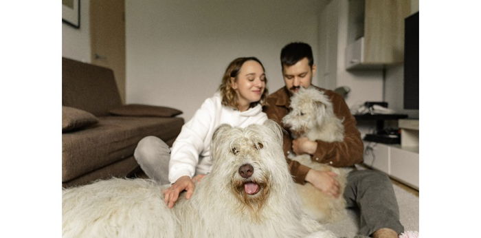 Manfaat Ajak Hewan Peliharaan Jalan Sore, Bikin Anak Bulu dan Pemiliknya Happy