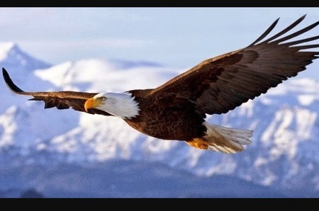 Cerita Rakyat Sulawesi