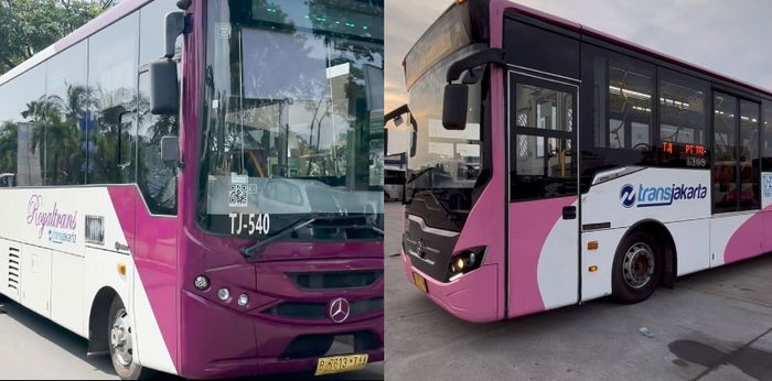 Busway Khusus Wanita Resmi Beroperasi: Lebih Aman dengan Bus Pink TransJakarta