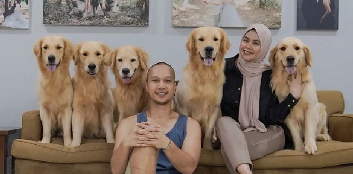 Kronologi Anjing Bima Aryo Hilang, Ditemukan Hampir Hanyut di Kali