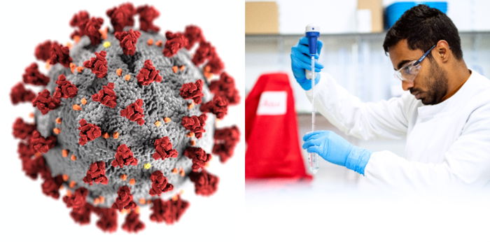 Muncul Virus Baru Langya di China, 35 Orang Terinfeksi