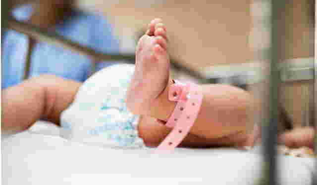 Atrial Septal Defect, Congenital Heart Disorder Since the Fetus is in the Womb