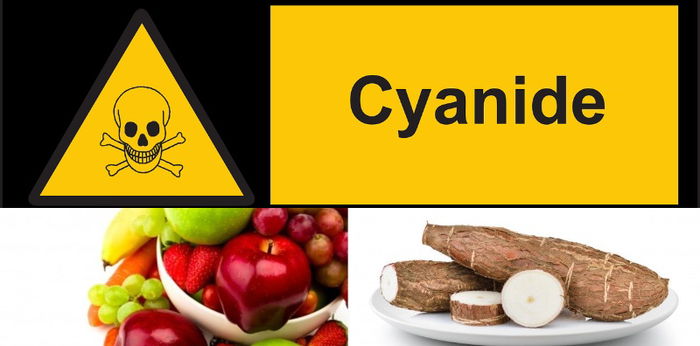 6 Bahan Makanan ini ternyata Mengandung Sianida, Hati-hati saat Mengonsumsinya!