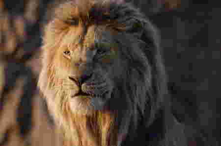 Rekomendasi film Disney