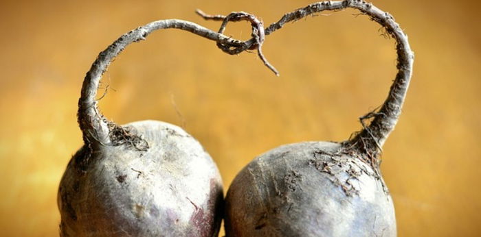 Jadi Sumber Makanan Pokok, Apa Saja Tumbuhan yang Berkembang Biak dengan Umbi Akar?