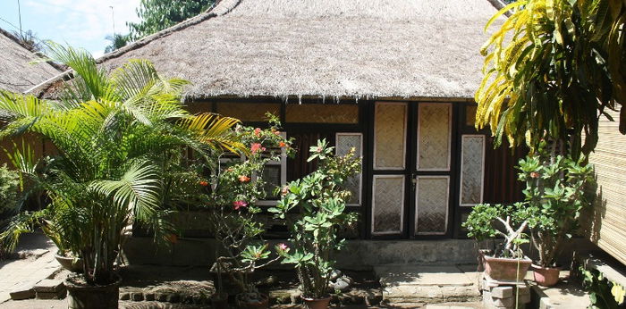 Mitos Pohon Mangga di Depan Rumah menurut Feng Shui
