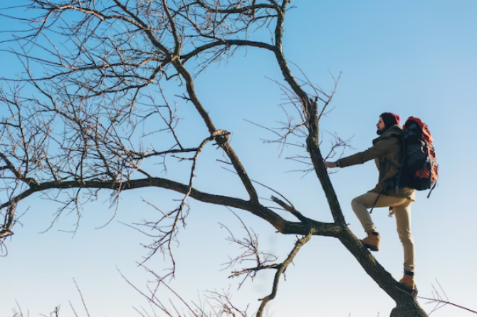 Mimpi Planet Jatuh: Pertanda Kiamat atau Keberuntungan?  (Rahasia Terungkap!)