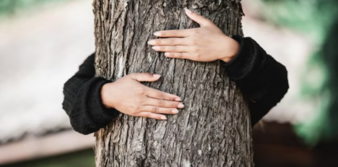 5 Arti Mimpi Jatuh dari Pohon, Pertanda Baik atau Buruk?