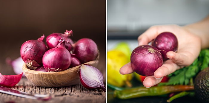 7 Fakta Perkembangbiakkan Bawang Merah, Bisa secara Seksual dan Aseksual