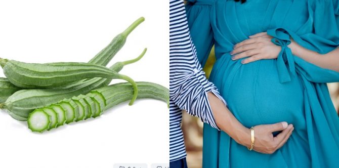 Bolehkah Ibu Hamil Makan Sayur Oyong? Ini Penjelasannya