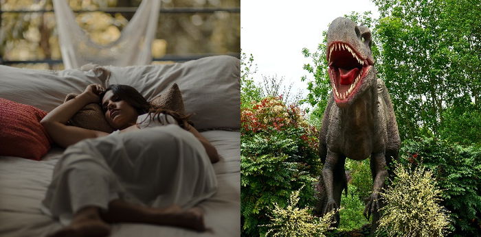 9 Arti Mimpi Dikejar Dinosaurus, Menandakan Emosi Tidak Stabil
