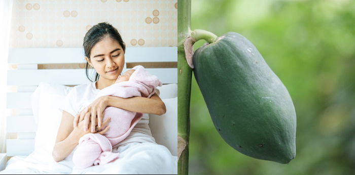 5 Manfaat Pepaya Hijau untuk Ibu Menyusui