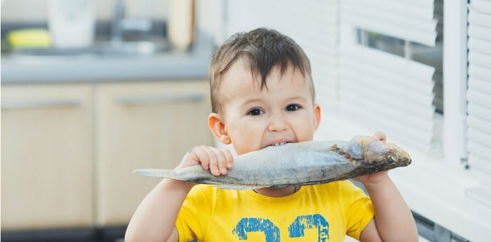 Manfaat Ikan Gabus untuk Anak, Tingkatkan Fungsi Otak dan Sistem Saraf