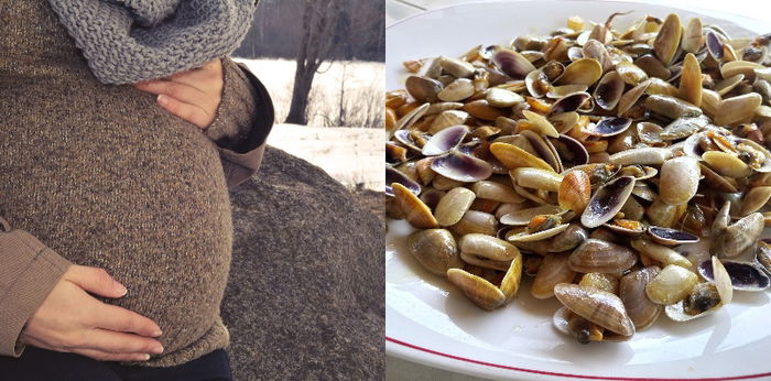 Bantu Tumbuh Kembang Otak Janin, Ini Manfaat Kerang untuk Ibu Hamil