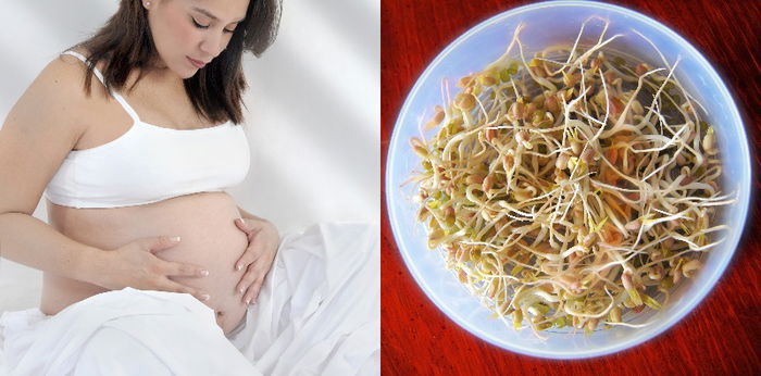 Cegah Anemia hingga Mengontrol Gula Darah saat Hamil, Ini Manfaat Tauge untuk Bumil