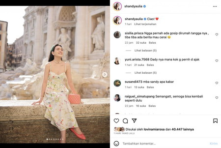 5 Fakta Shandy Aulia Gugat Cerai Suami, Penyebabnya Terungkap!