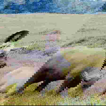 Anak Mandra Dilabrak Pengunjung