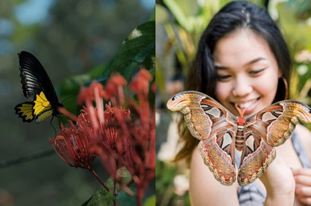 10 Tempat Wisata Anak di Bali Paling Direkomendasikan, Lets Go!
