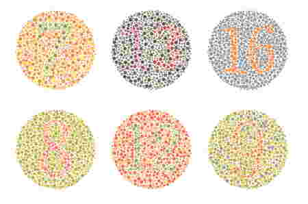 Contoh gambar tes buta warna ishihara