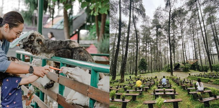 10 Tempat Wisata di Lembang Terpopuler, Udara Sejuk Minim Polusi