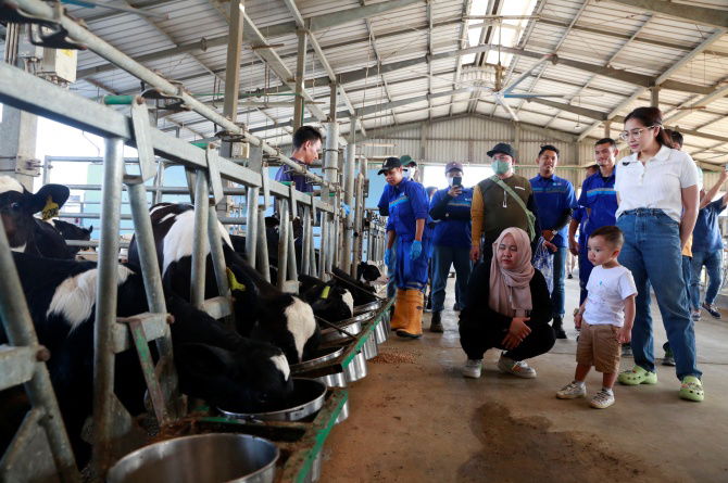 Nagita Slavina ke peternakan