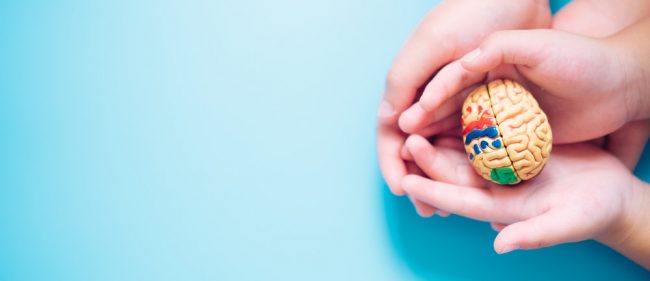 Masa 1000 Hari Pertama Kehidupan, Mengapa Penting untuk Otak Anak?