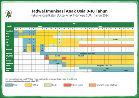 Cek Jadwal Lengkap Imunisasi Bayi Terbaru 2024 dari IDAI