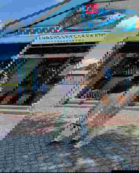 Pola Asuh Arumi Bachsin