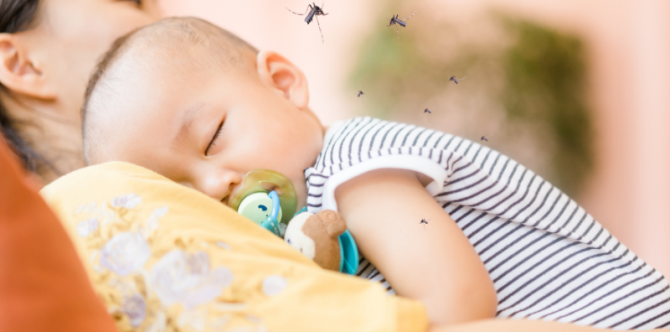 10 Rekomendasi Obat Nyamuk yang Aman Untuk Bayi, Jangan Sampai Salah Pilih Parents!