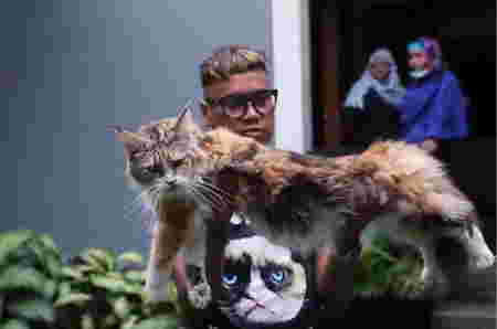 Sherina Munaf Kucing Uya Kuya