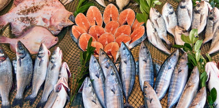 10 Jenis Ikan yang Bagus untuk Anak, Bantu Jaga Kesehatannya