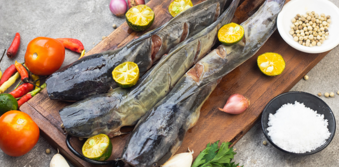 Dukung Pertumbuhan Otak, Ini 4 Manfaat Ikan Lele untuk Anak
