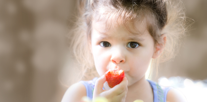 8 Makanan dan Nutrisi untuk Otak yang Mendukung Kecerdasan Anak